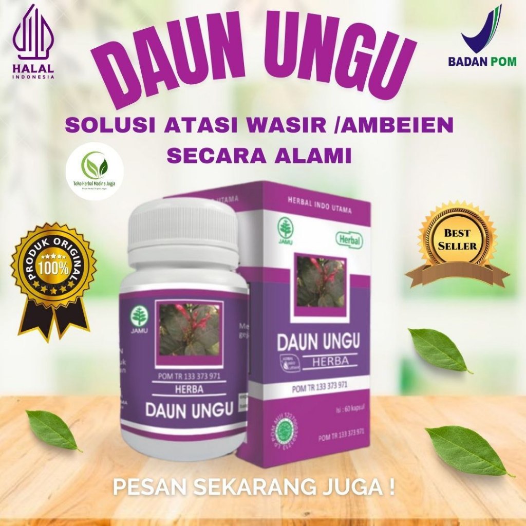Kapsul Daun Ungu Original Obat  Herbal Ambeien Wasir Berdarah Secara Alami