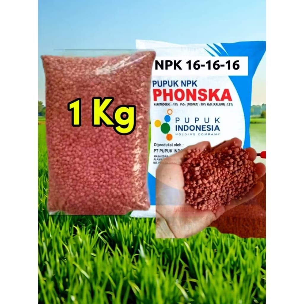 Jual pupuk npk phonska merah 1 kg asli, menyuburkan tanaman dan ...