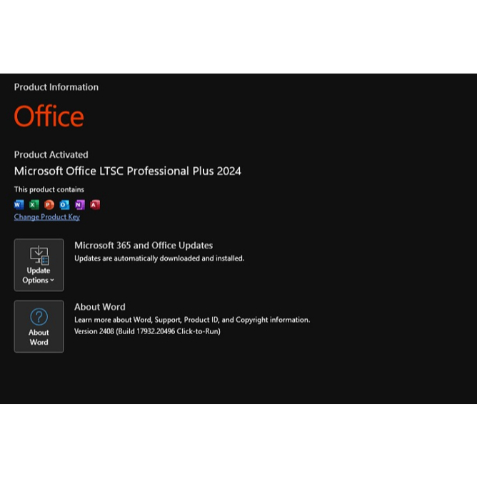 Jual Microsoft Office 2024 LTSC Professional Plus Original License ...