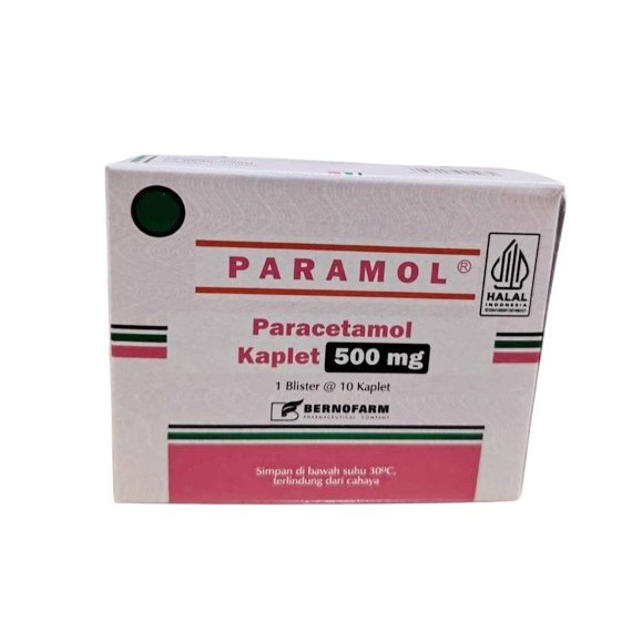 Jual Paramol Terlengkap & Harga Terbaru April 2026 | Shopee Indonesia