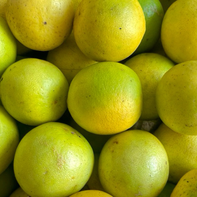 Jual Jeruk Nipis Kuning/Matang (ukuran random) 1kg | Shopee Indonesia