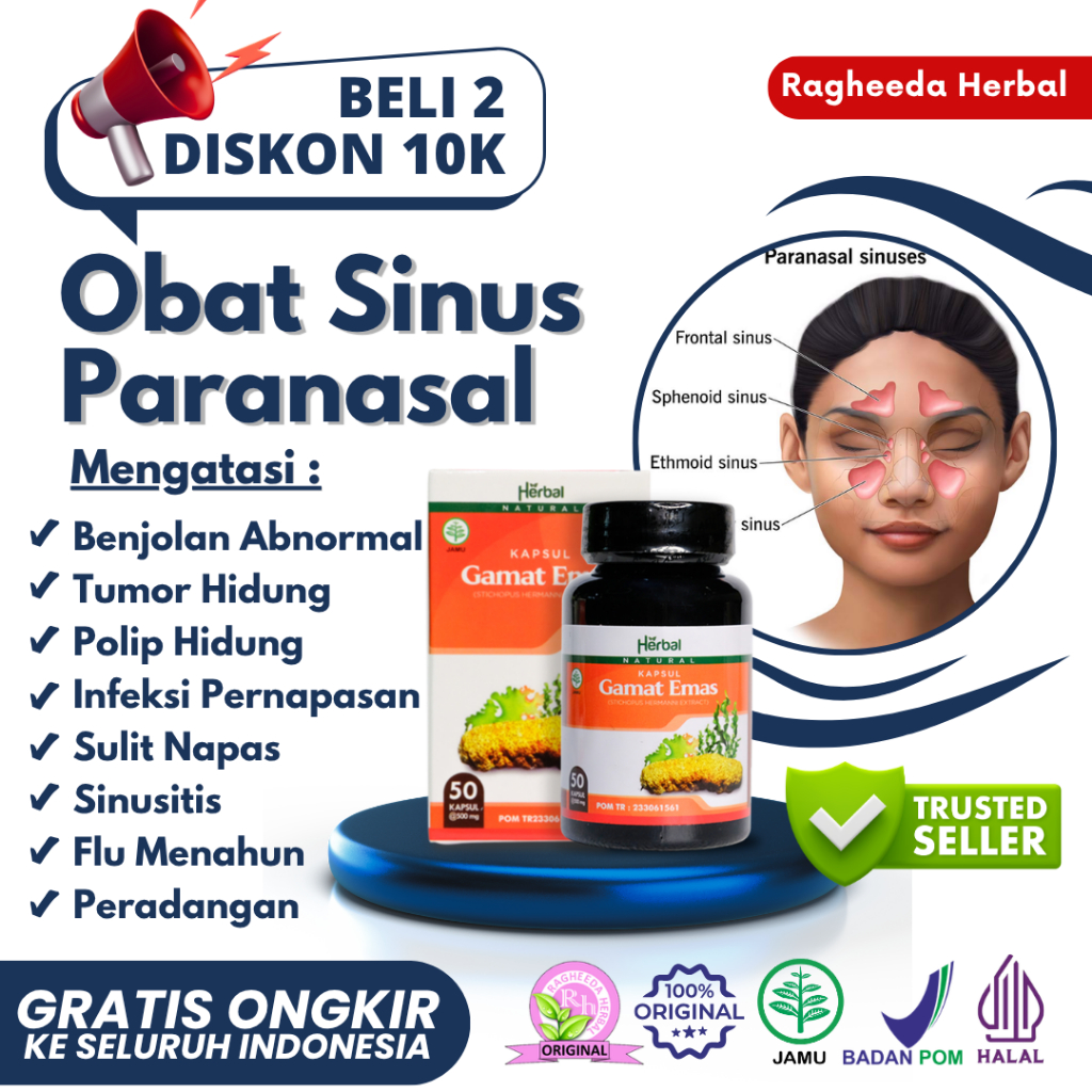 Jual Obat Sinus Paranasal, Maksilaris di Pipi, Frontalis di Dahi ...
