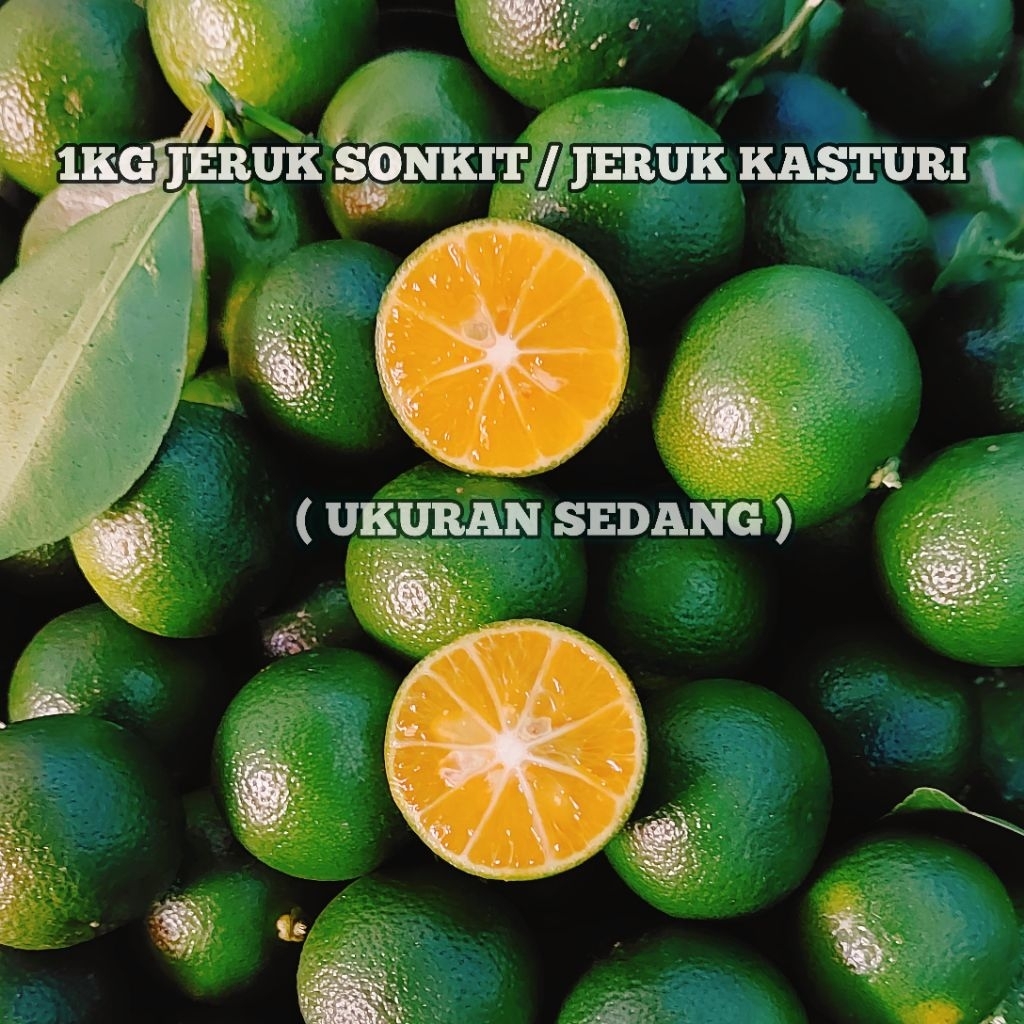 Jual 1KG JERUK SONKIT / KASTURI / KUNCI / LEMON CUI / KALAMANSI (UKURAN ...