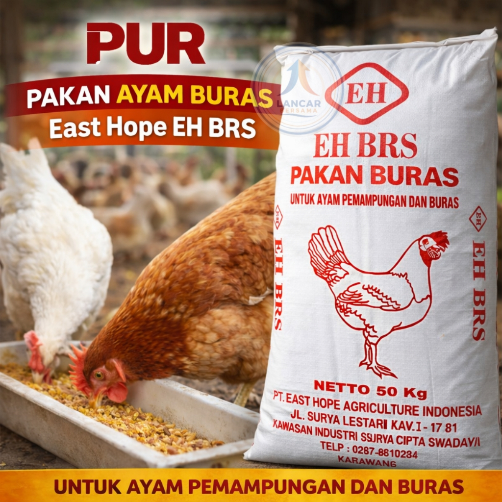 Jual Pur Ayam Terlengkap & Harga Terbaru Mei 2026 | Shopee Indonesia
