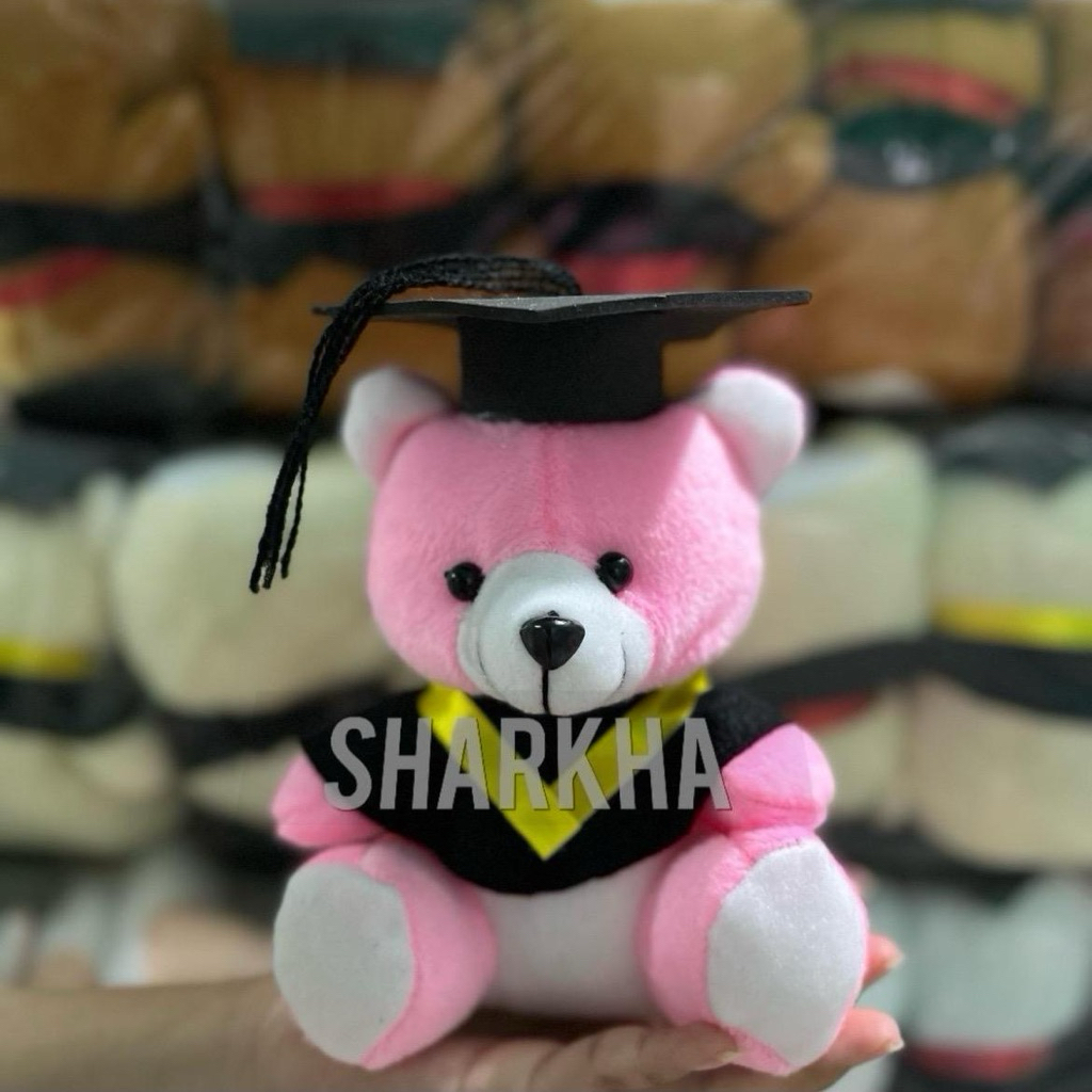 Jual PAKET TOGA 10pcs BONEKA WISUDA TEDY BEAR 15 CM GRADUATE FULLSET ...