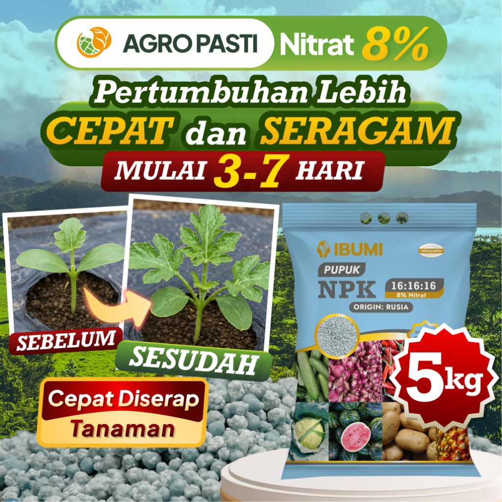 Jual Pupuk NPK 16 16 16 Ibumi Rusia 5kg – Pupuk NPK Nitrat 8% untuk ...