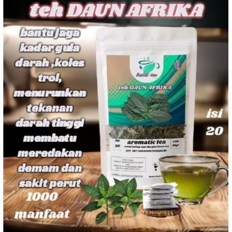 Jual Teh Daun sambung nyawa [daun dewa] Herbal | Bantu Jaga Kolestrol ...