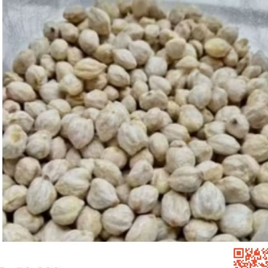 Jual Kemiri Bulat Utuh Asli Medan 500 Gram - Bumbu Premium, Segar ...