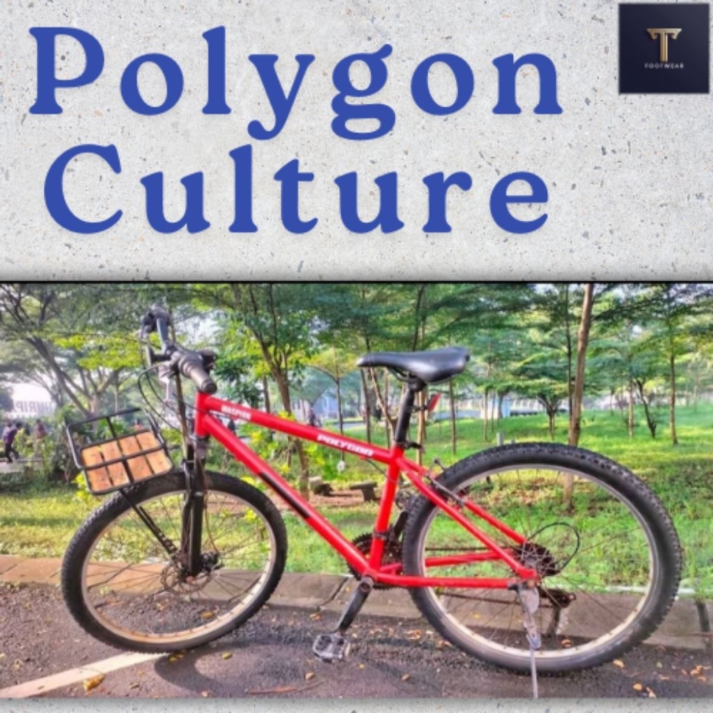 Jual Sepeda MTB Gunung fixie kota Polygon bekas second banyak minus ...