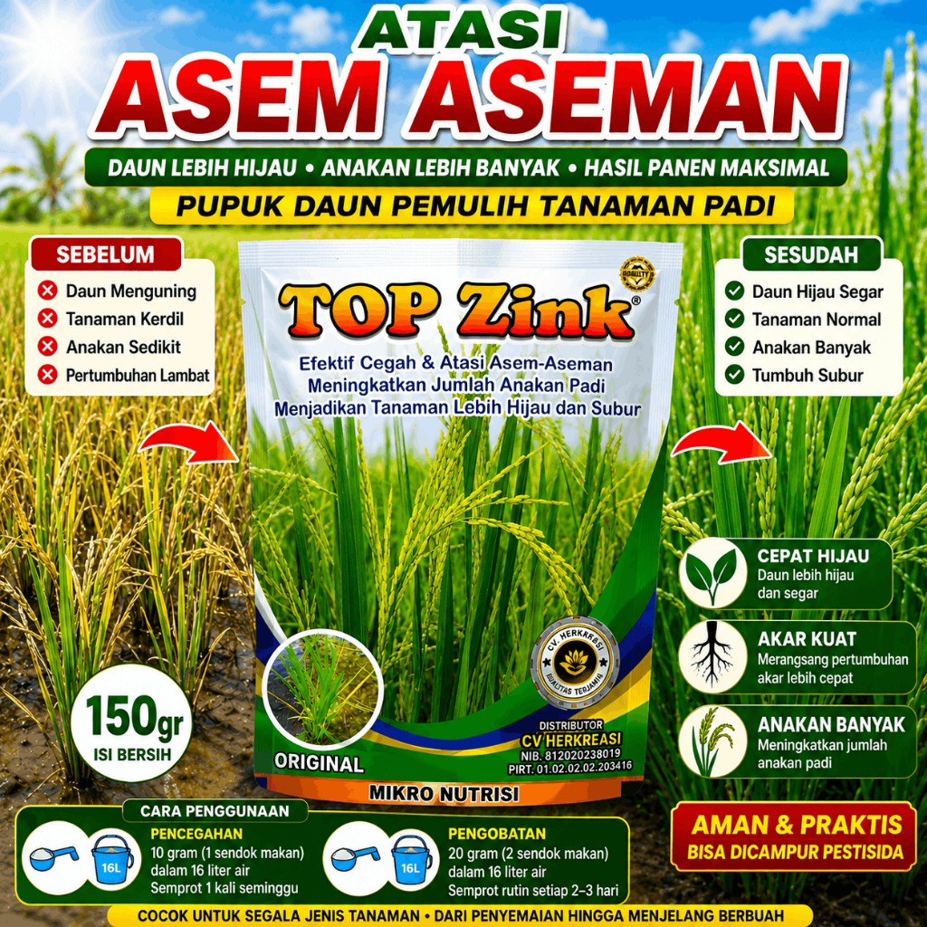 Jual TOP ZINK 150gr Pupuk Padi Anti Asem Aseman Penghijau Daun Pemulih ...