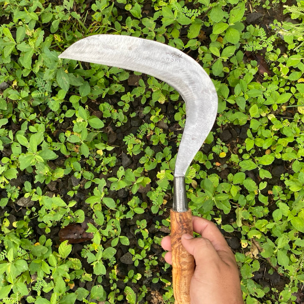 Jual Alat Pertanian Perkebunan Pemangkas Rumput Tradisional kasri putih ...