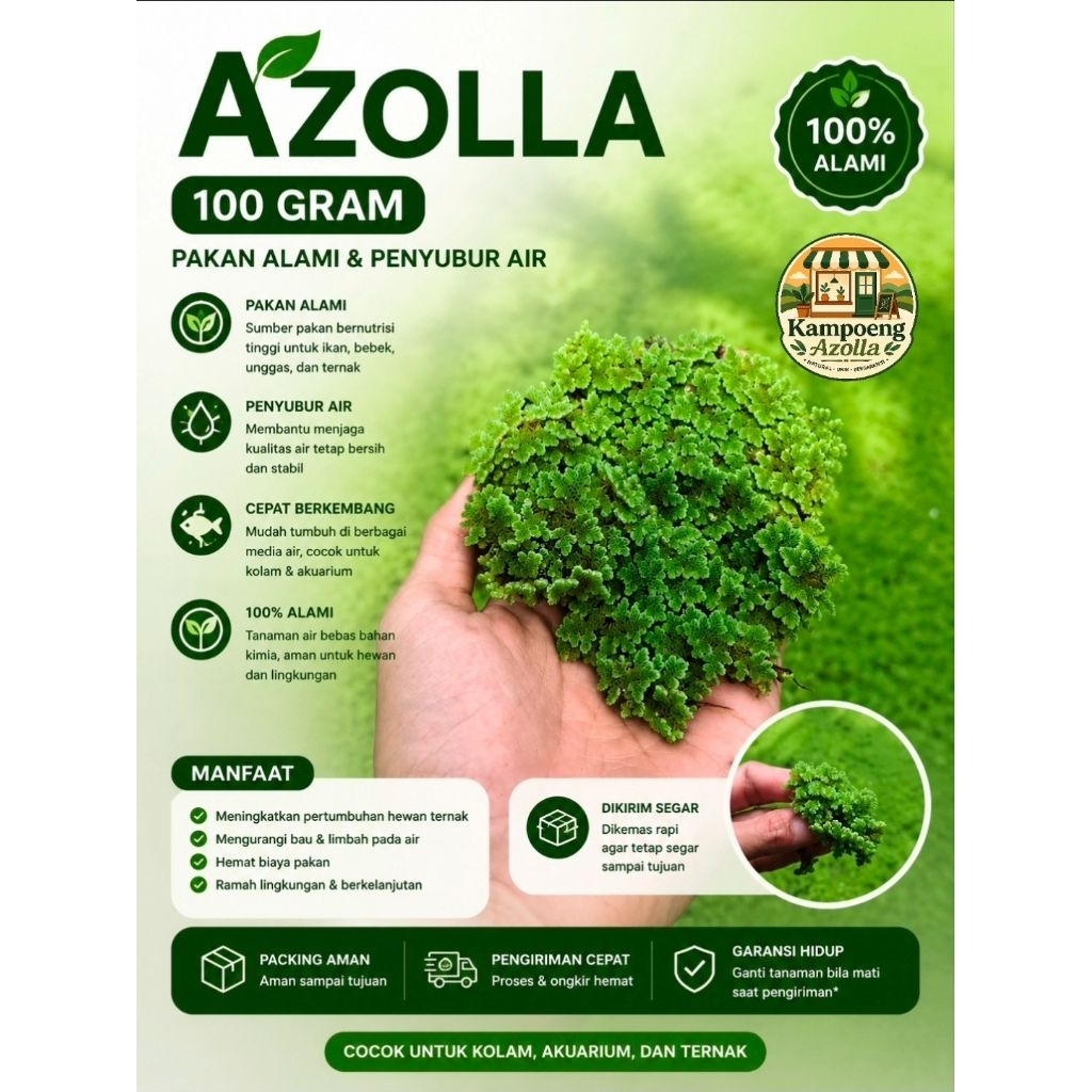 Jual Azolla Terlengkap & Harga Terbaru Juli 2026 | Shopee Indonesia
