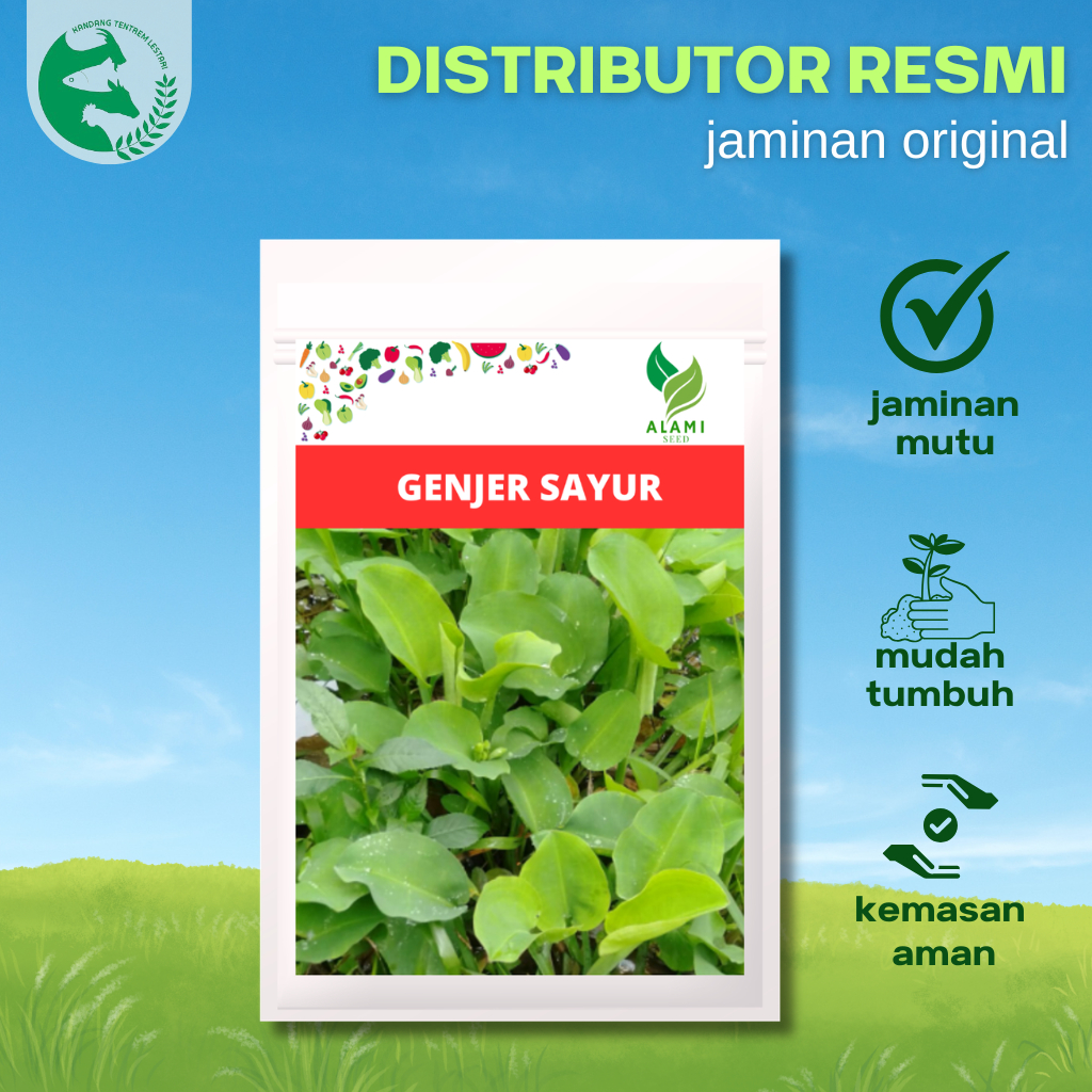 Benih Sayur Genjer Gendot Ratusan Biji Unggul Alami Seed Mudah di Tanam Pot Maupun Sawah