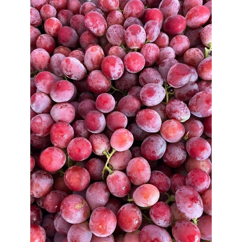 Jual Anggur 1 Kg Terlengkap & Harga Terbaru Agustus 2026 | Shopee Indonesia