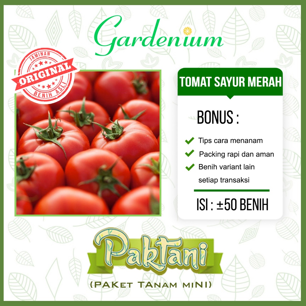50 Benih Tomat Sayur Merah Paktani