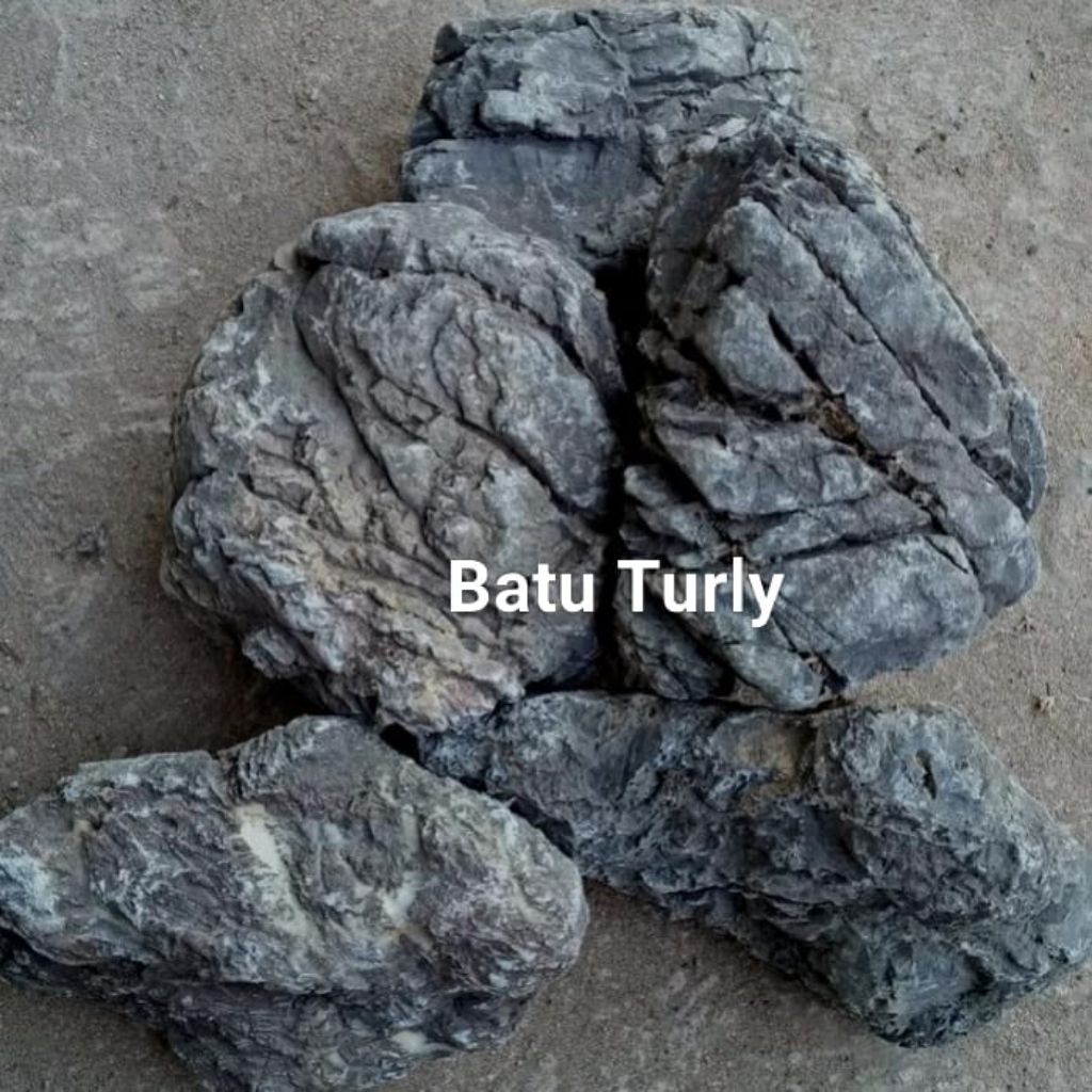 Jual Batu Turly 5 kg untuk Dekorasi Taman, Aquarium, Aquascape ...