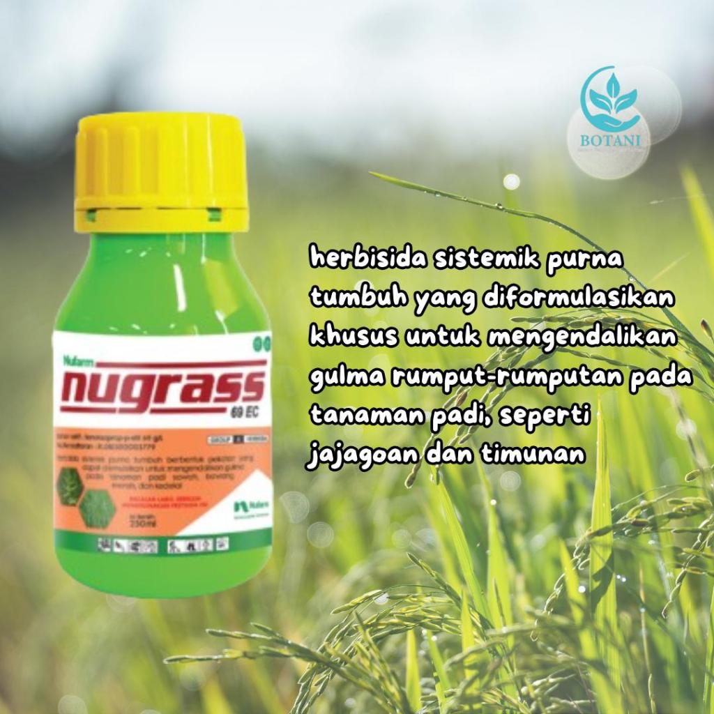 Jual Nugrass Herbisida Sistemik Purna Tumbuh EC 100 ML Untuk ...