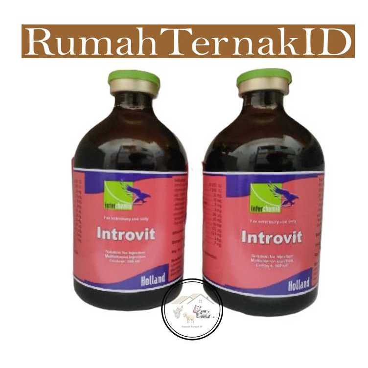 Jual INTROVIT 100 ml | Multivitamin Lengkap dan Asam Amino Meningkatkan ...