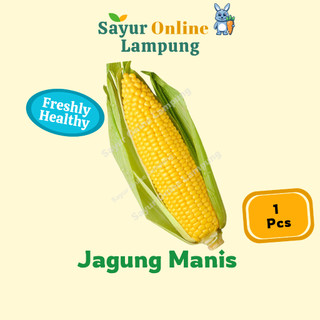 Jagung Manis 1 Pcs