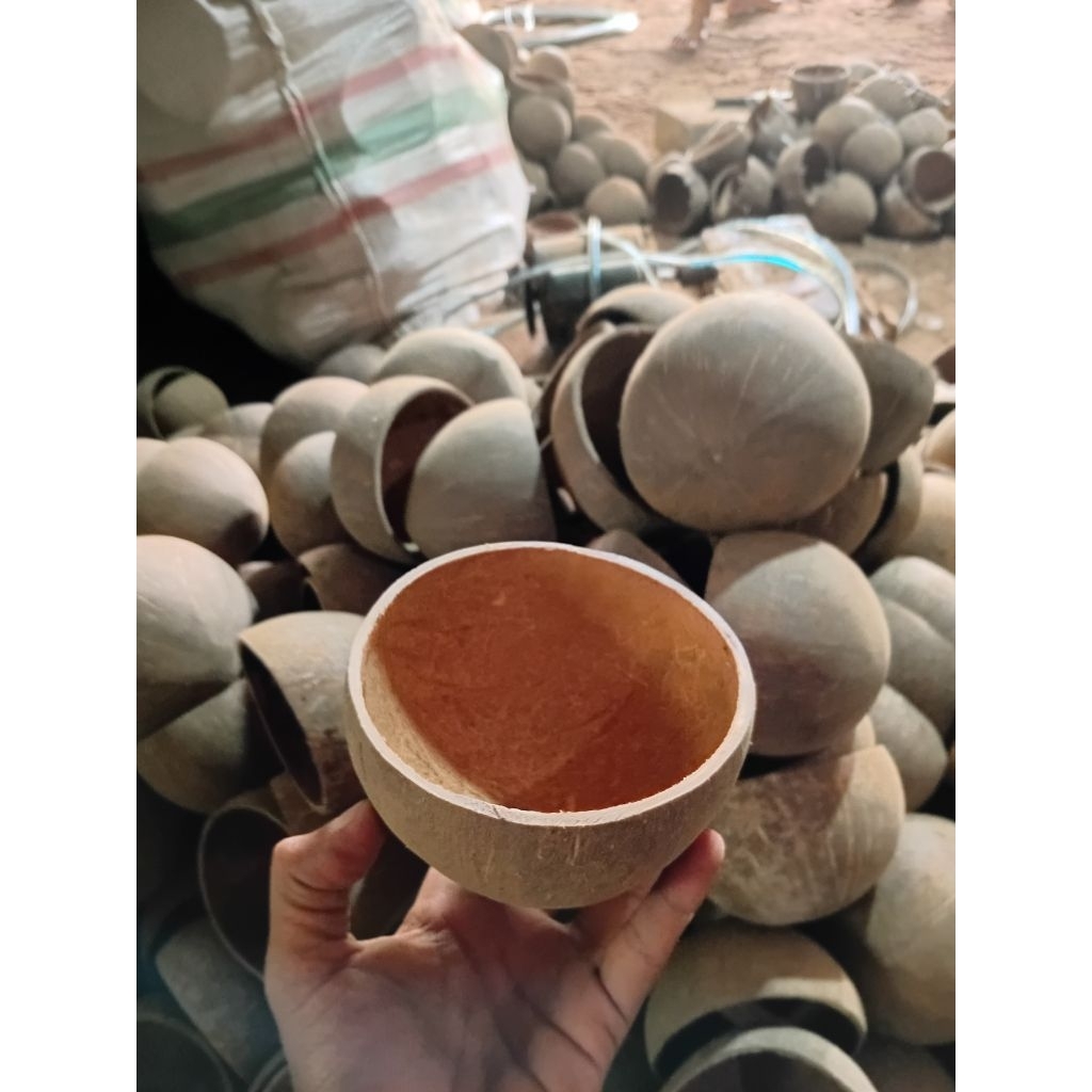 Batok kelapa bahan kerajinan bersih tidak ada serabut