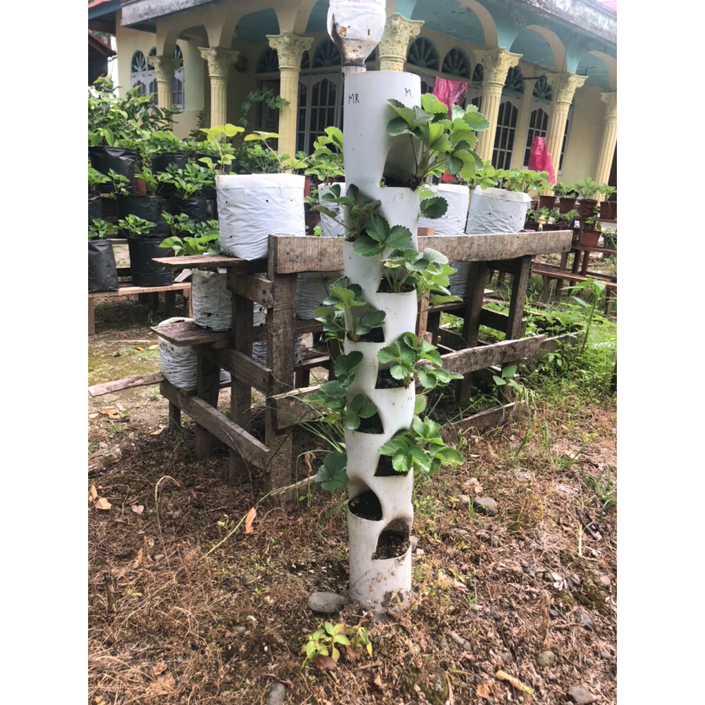 Jual Pot Tower Vertikal Pipa PVC 4 Inchi Ukuran 100 cm (16 lubang ...