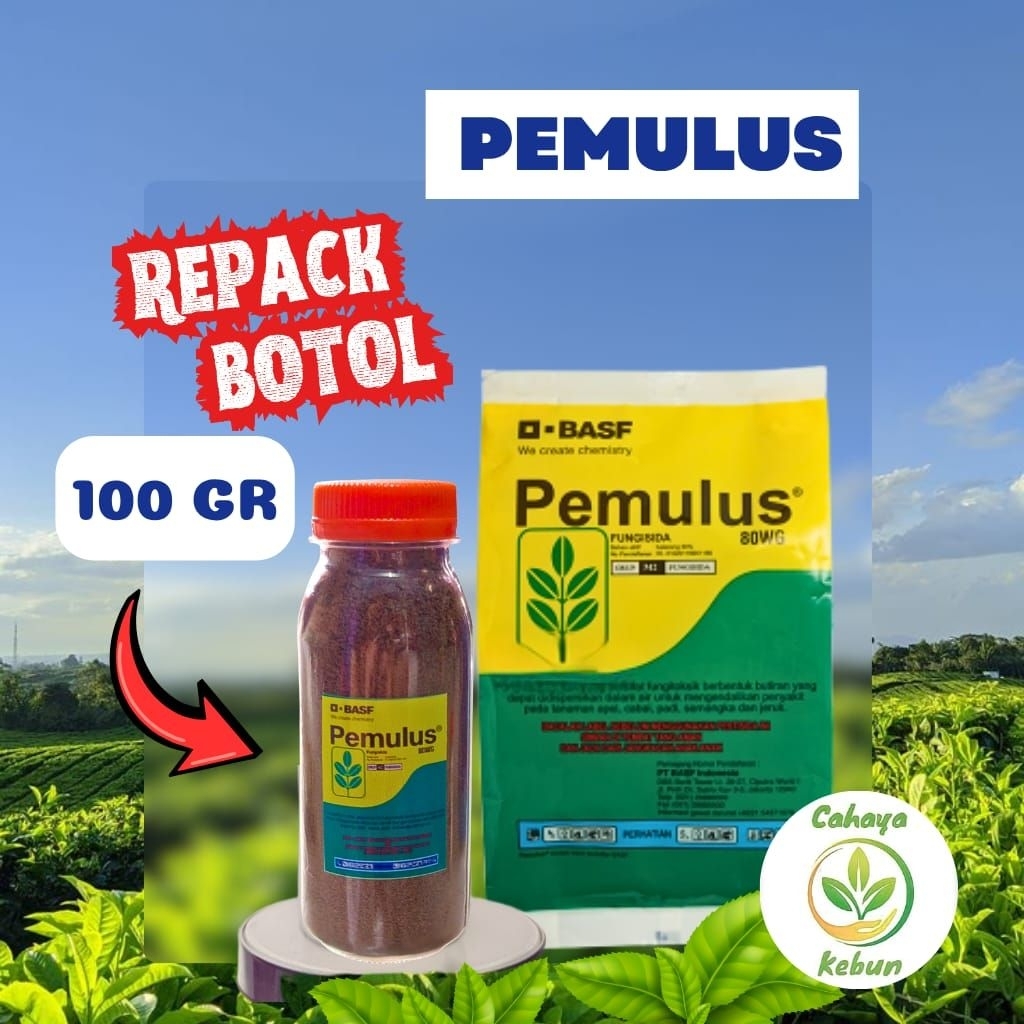 Produk CAHAYA KEBUN | Shopee Indonesia