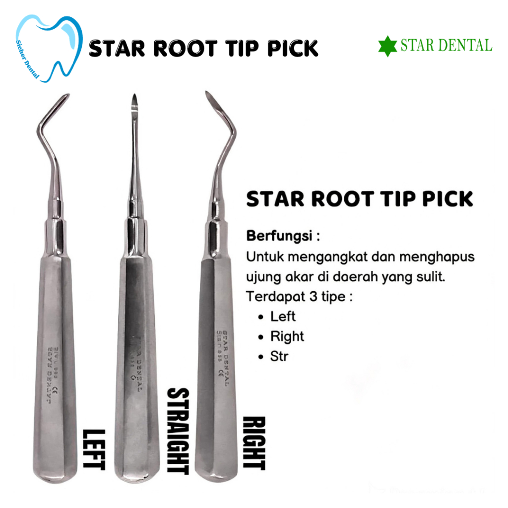 Jual STAR Root Tip Pick Bein - Dental Instruments | Shopee Indonesia