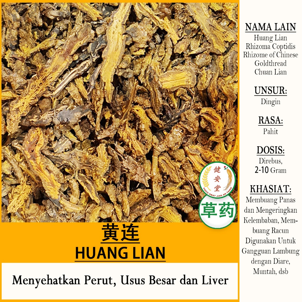 Jual HUANG LIAN - Rhizoma Coptidis - Rhizome of Chinese Goldthread ...