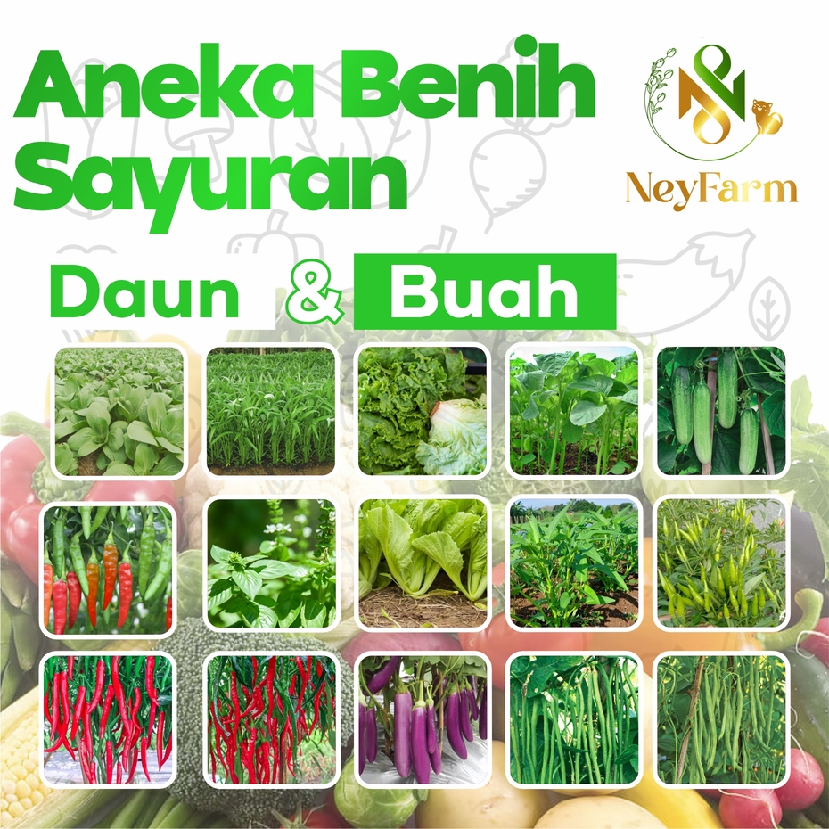 Benih Bibit Biji Sayur Sayuran Cabe Cabai Tomat Terong Paprika Wortel Brokoli Kembang Kol Timun Pare Kacang Panjang Buncis Labu Oyong Gambas Kangkung Bayam Sawi Putih  Pakcoy Pakchoy Caisim Samhong Pagoda Kailan Selada Kemangi Seledri Daun Bawang Kubis