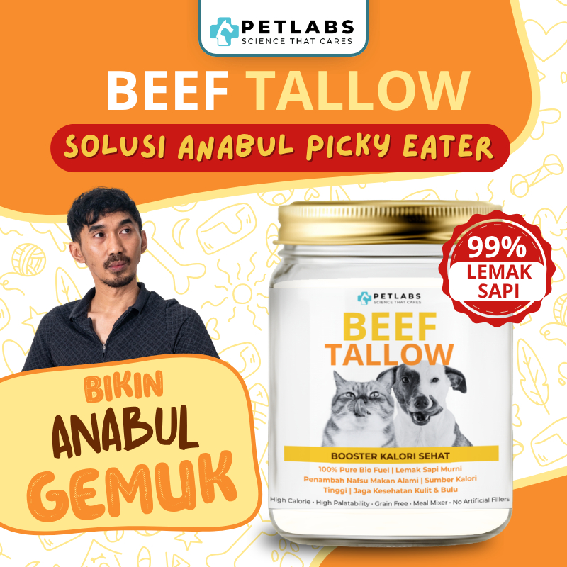 Jual PETLABS Beef Tallow Lemak Sapi Kucing & Anjing Penambah Nafsu ...