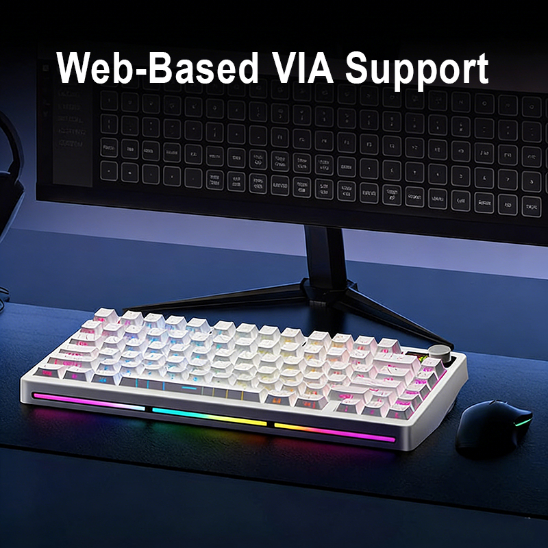 Jual Elecfox Spectra 75 Wireless Custom Mechanical Keyboard | 75% ...