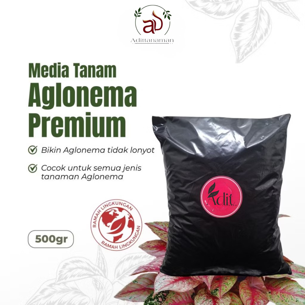 ( mp 2 ) Media Tanam Aglonema Premium Organik Siap Pakai 500gr