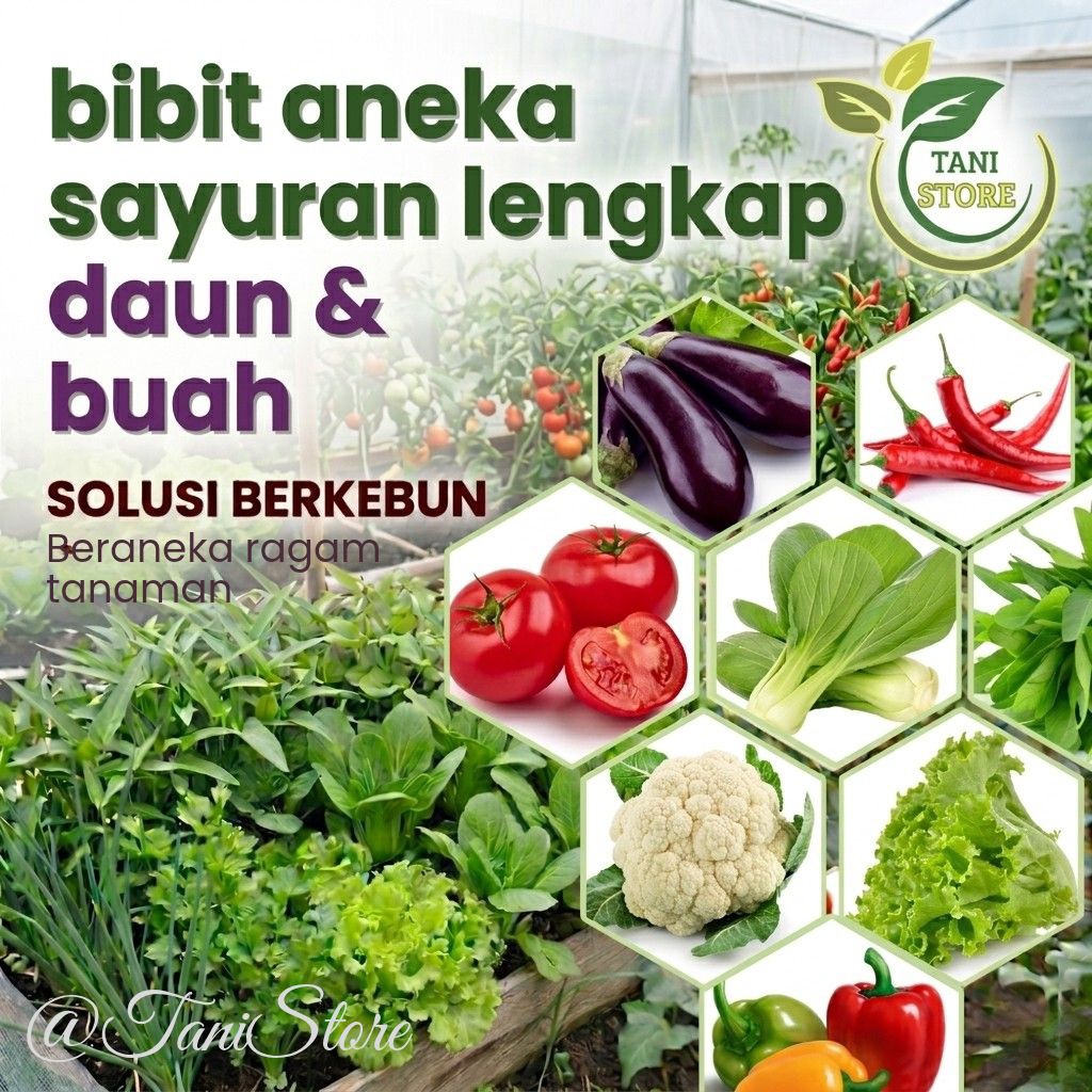 Aneka Bibit Benih Sayuran Rumahan lengkap Sayuran Daun & Sayuran Buah Unggulan Berkualitas Pilihan_Benih Sayuran Lengkap_Benih Sayuran Murah_sayuran varian lengkap_kangkung_bayam_sawi_pakcoy_selada_tomat_jagung_terong_daun bawang_seledri_kubis_timun_cabe