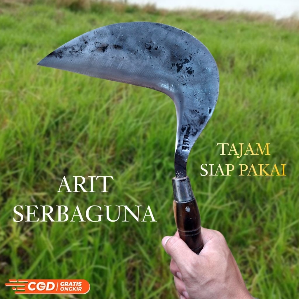 Arit Sabit Rumput Tajam Baja Siap Panen Sawah Kebun