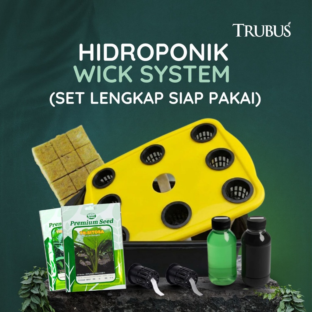 Trubus - Paket Hidroponik Wick System dengan Bibit Trubus Green