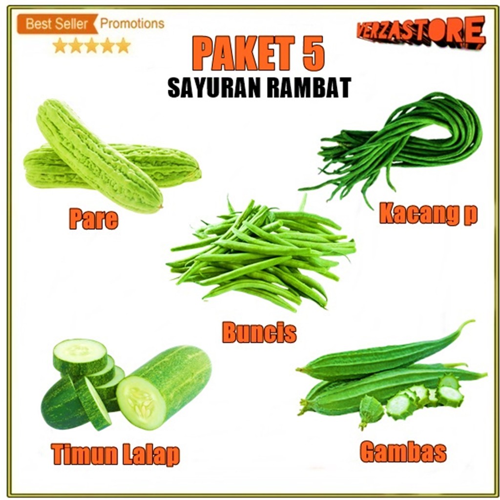 Paket 5 Macam Benih Sayuran Rambat Bibit Sayur Merambat Buncis Kacang Pare Oyong Timun Panjang Lalap