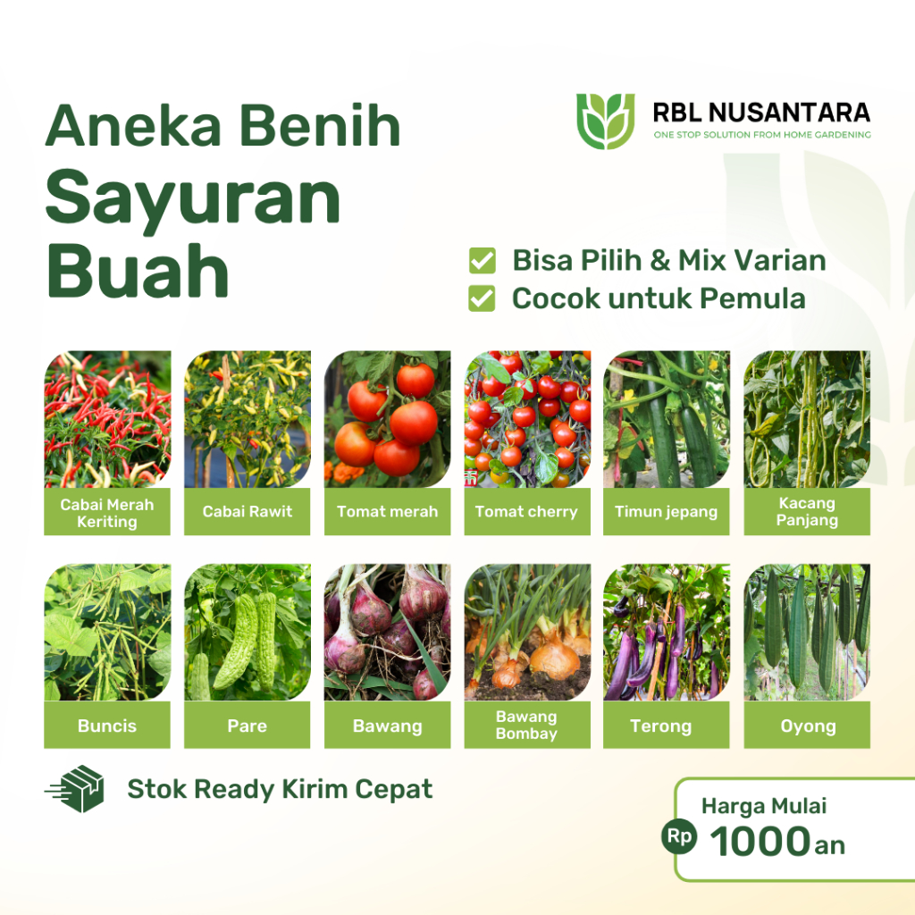 Benih Sayuran Lengkap Solusi Berkebun di Rumah | RBL Nusantara