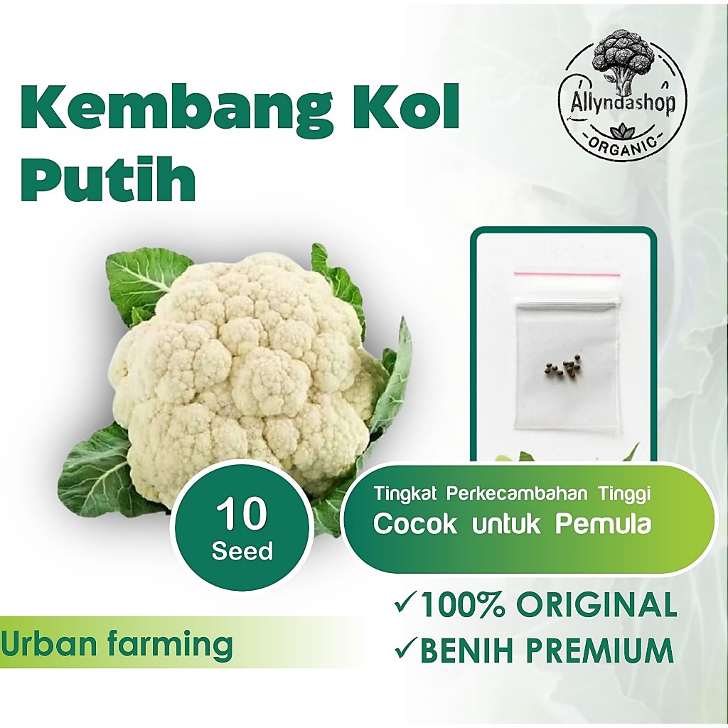 Bibit Benih Sayuran Kembang Kol F1 Putih