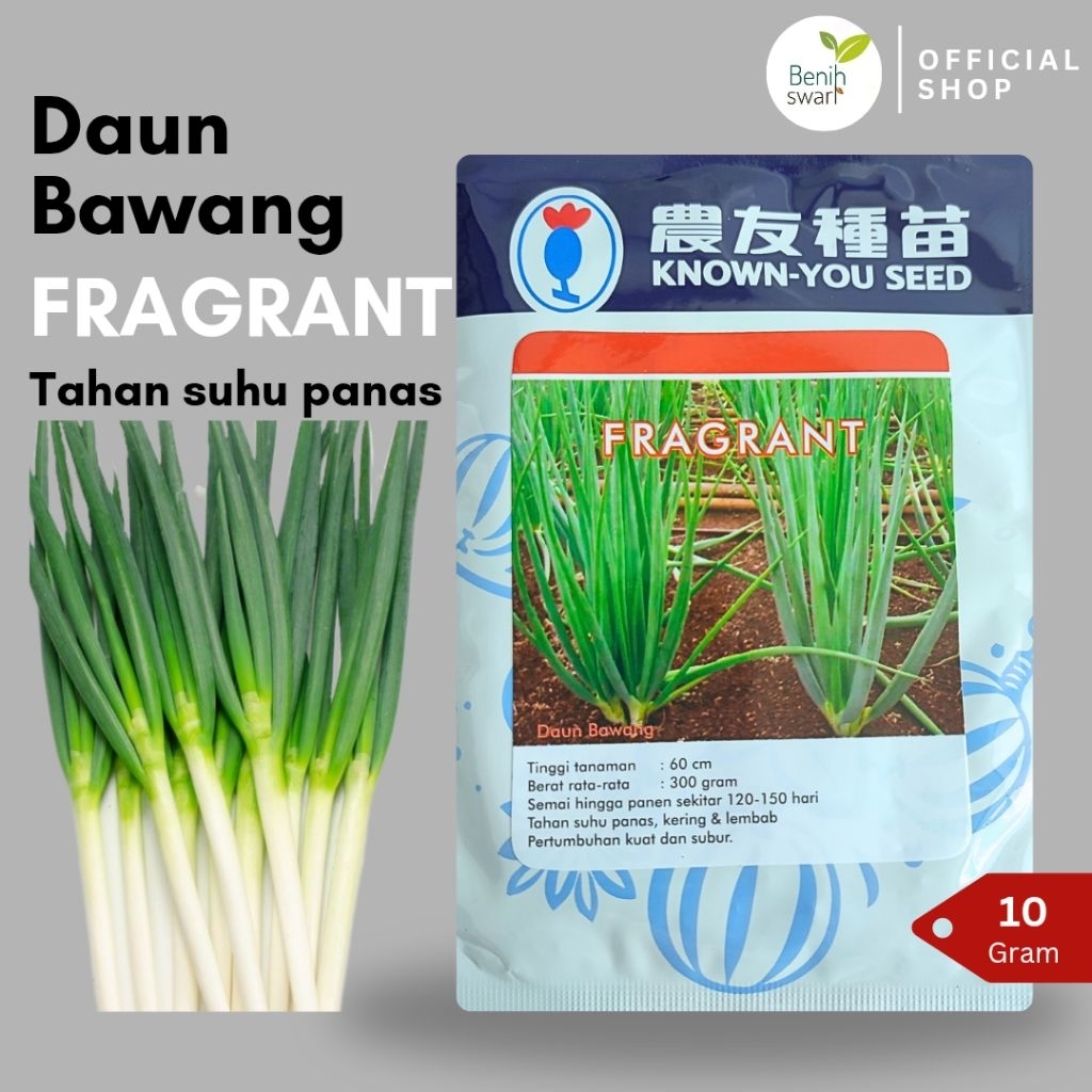 (17.5 gr) Benih Sayuran Daun Bawang FRAGRANT Kemasan 10+7.5 gr - Original Pack