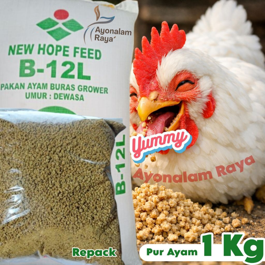 Jual Pakan Ayam Pedaging Terlengkap & Harga Terbaru Agustus 2026 ...