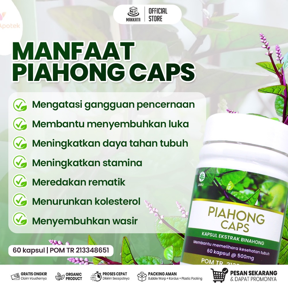 Jual MAKKATA Kapsul Binahong Obat Luka Dalam Luar Dan Operasi Anti ...