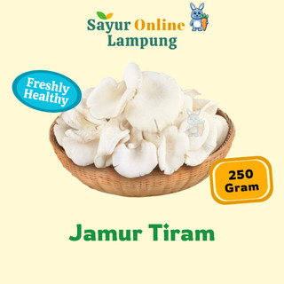 Jamur Tiram 250 gr