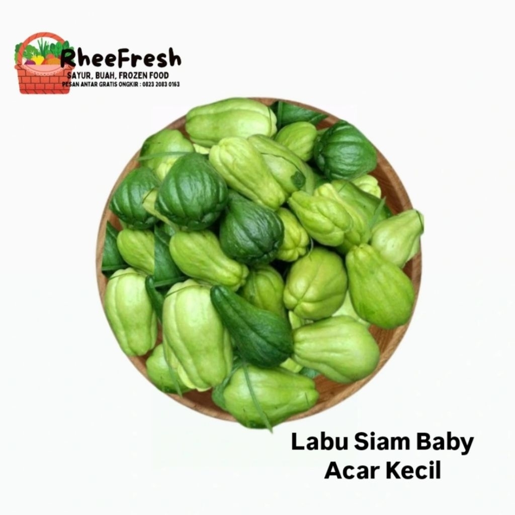 Jual Labu Siam Baby Acar Kecil 250 gr 500 gr 1 Kg | Shopee Indonesia