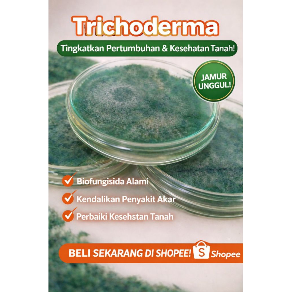 Jual Trichoderma murni Tricoderma isolat premium murni F1 Biofungisida ...