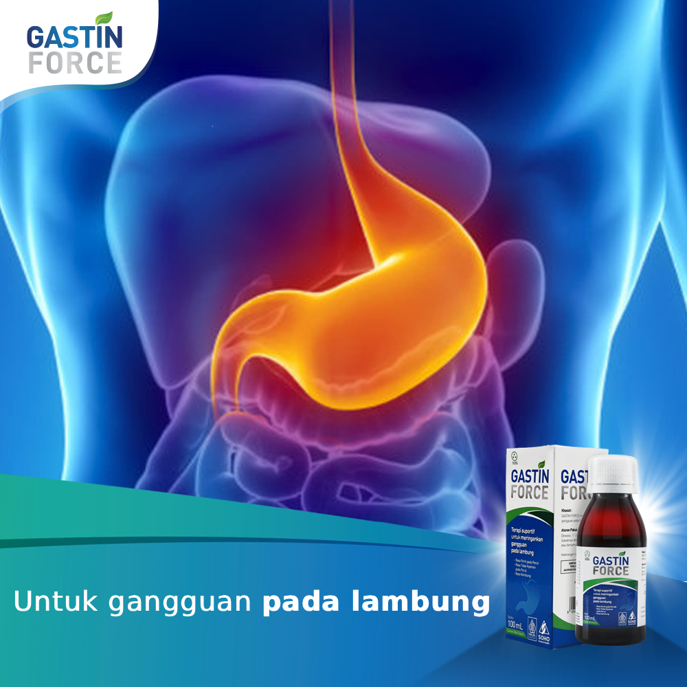 Jual Gastin Force Obat Lambung Herbal Untuk Maag with Extract Herbal ...