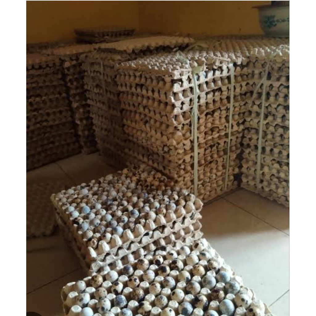 Jual 1 Rak Telur Isi Terlengkap & Harga Terbaru Agustus 2026 | Shopee ...