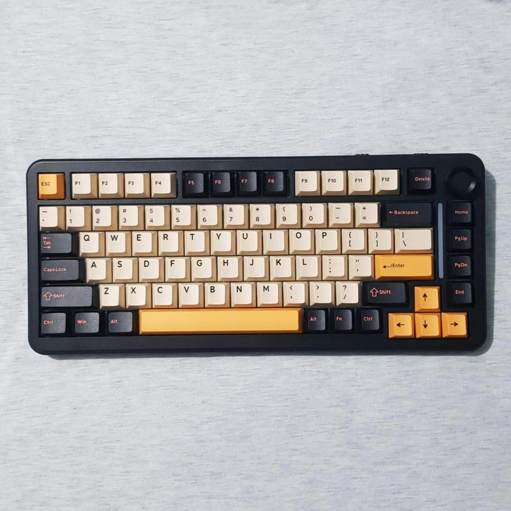 Jual Rexus - Cherry Profile Keycaps Set lepasan Aether A-75 untuk ...