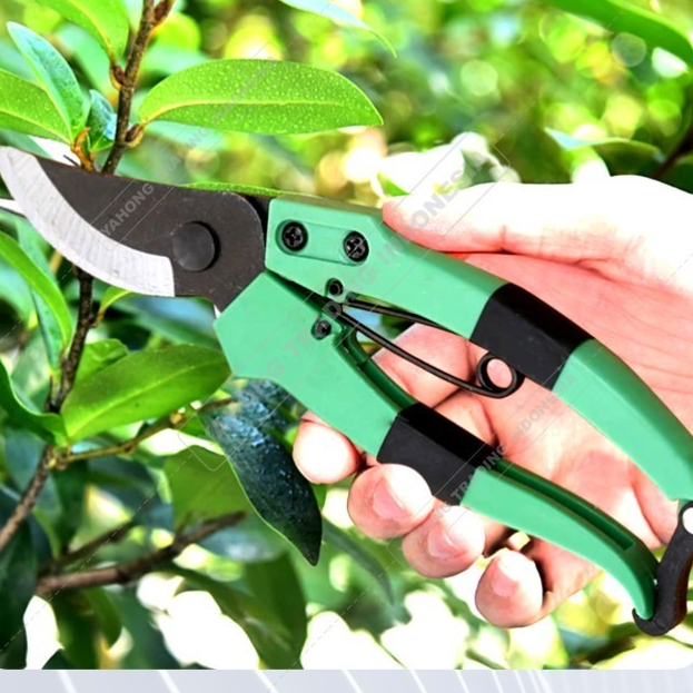 Jual Gunting Tanaman Terlengkap & Harga Terbaru Juli 2026 | Shopee ...