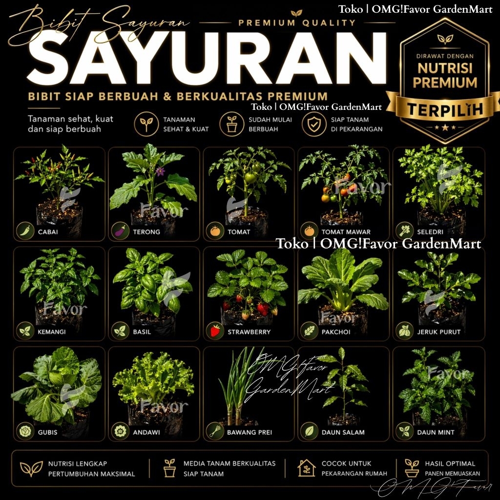 Tanaman 15 JENIS SAYURAN Cabai / Tomat / Terong / Seledri Siap BerBUAH Dirawat Nutrisi Premium Bibit Benih Cabe Panen Buah Sayur Kota Sayuran |Tomat Mawar/Pakchoy Sawi/Jeruk Purut/Bawang Prei/Daun Salam/Kemangi/Basil/Daun Mint/Gubis/Andewi/Strawberry