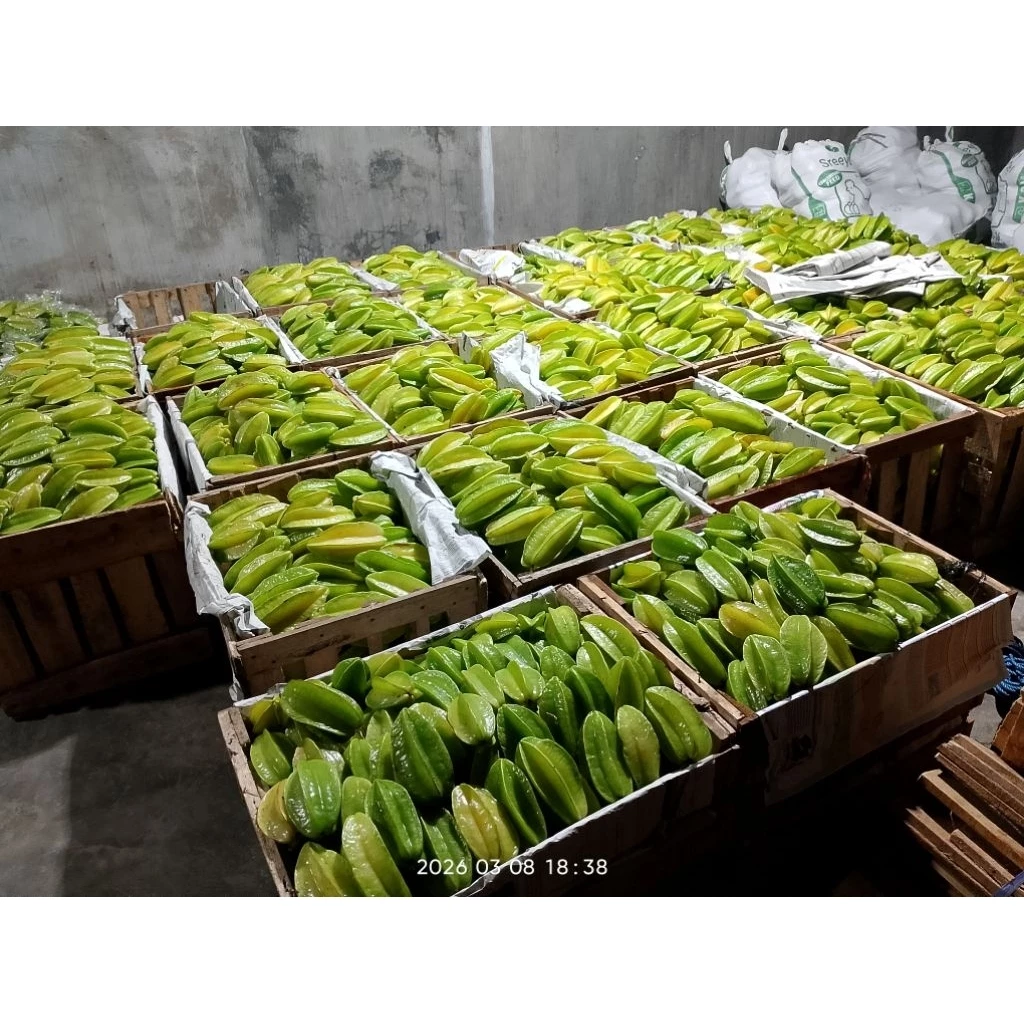 Grosir Belimbing Blitar